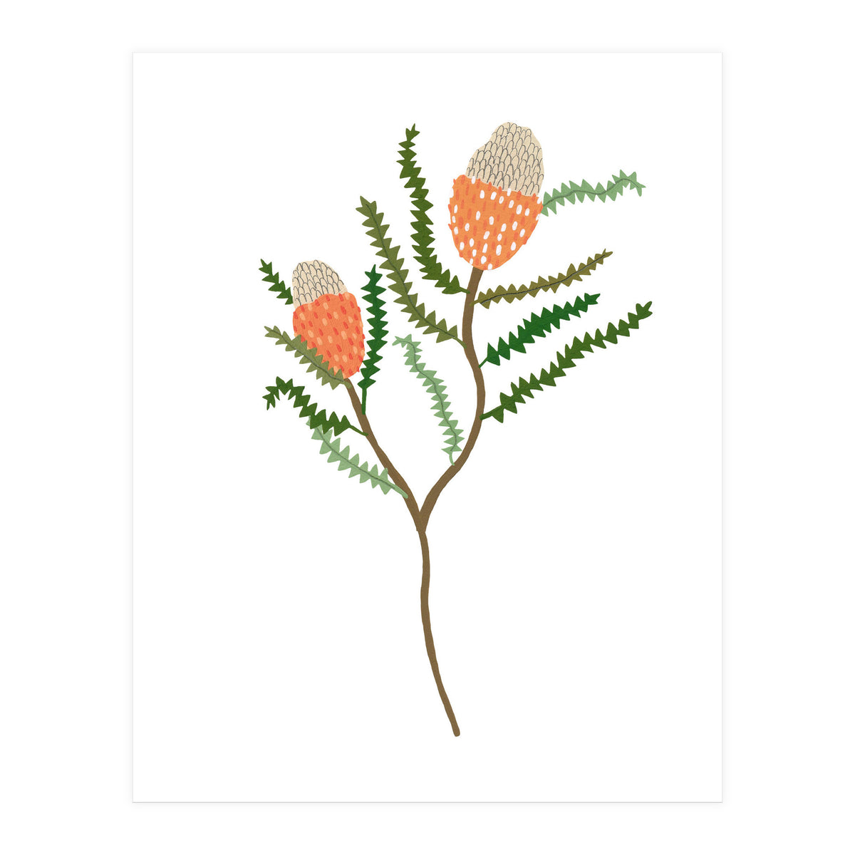 Banksia Flowers (Print Only)
