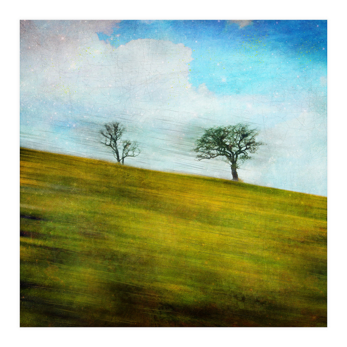 Uphill, Backwards (Print Only)