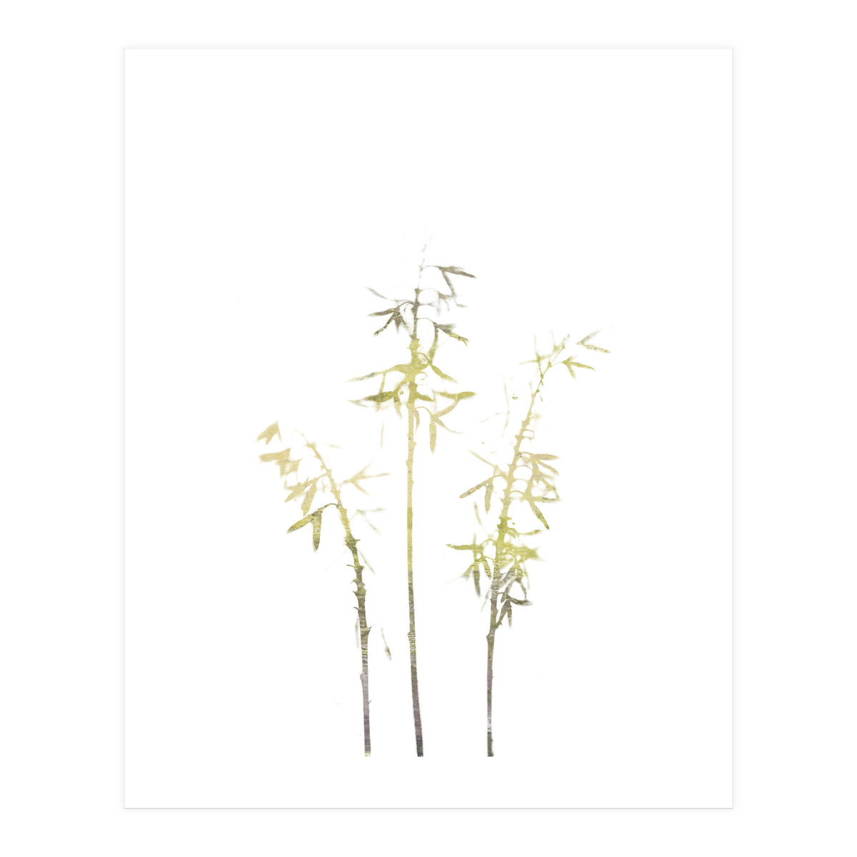 Neutral Hosta (Print Only)