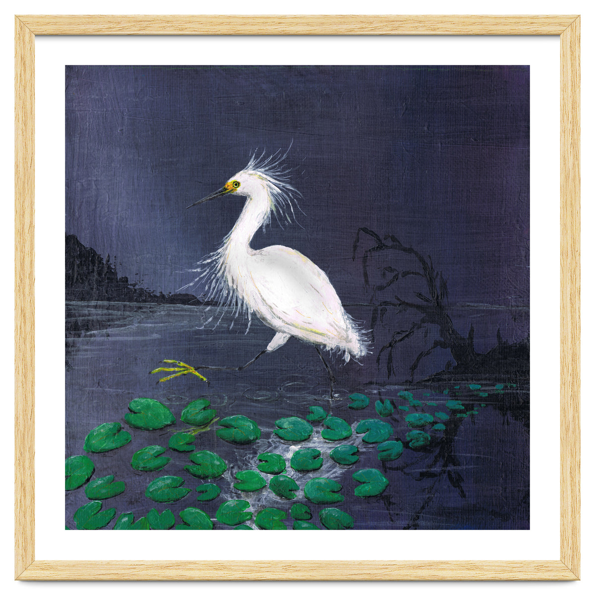 Twilight egret