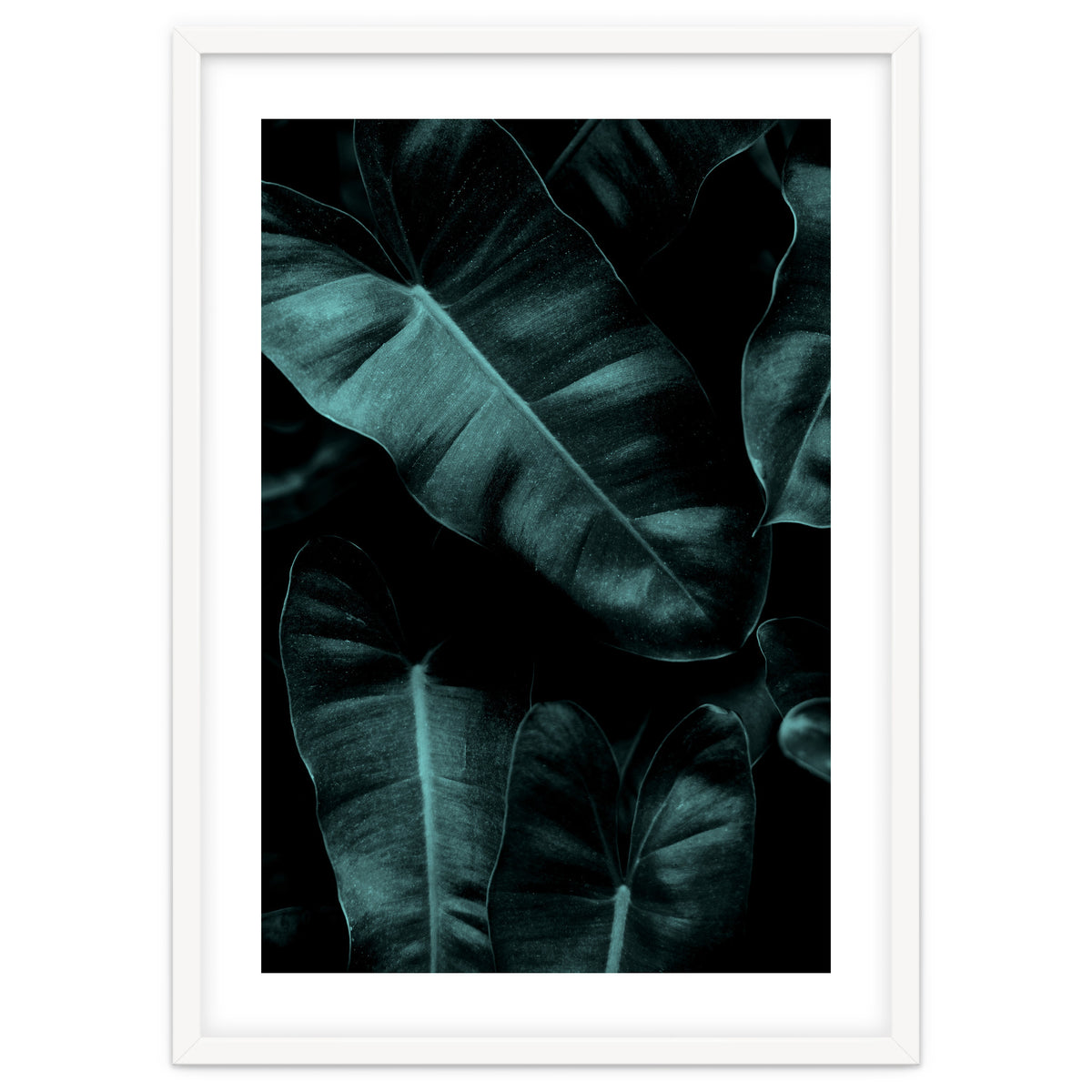 Dark Leafs