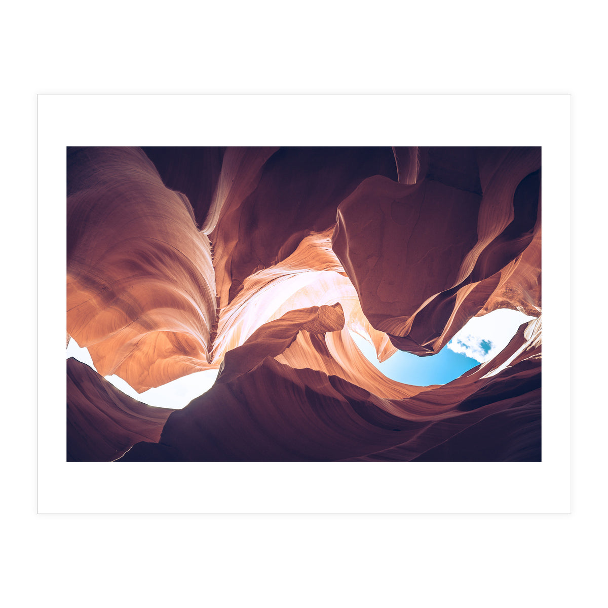 Twisted (Print Only)