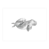 Dugongs no. 1 (Print Only) thumbnail
