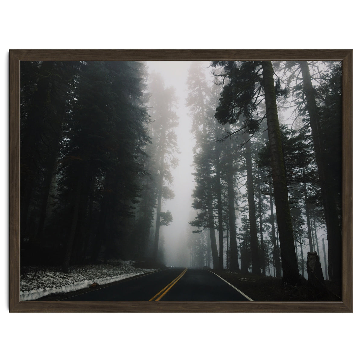 Foggy Yosemite