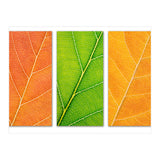 Autumn Leaves (Print Only) thumbnail