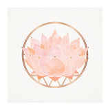 Peach Succulent  Blossom (Print Only) thumbnail