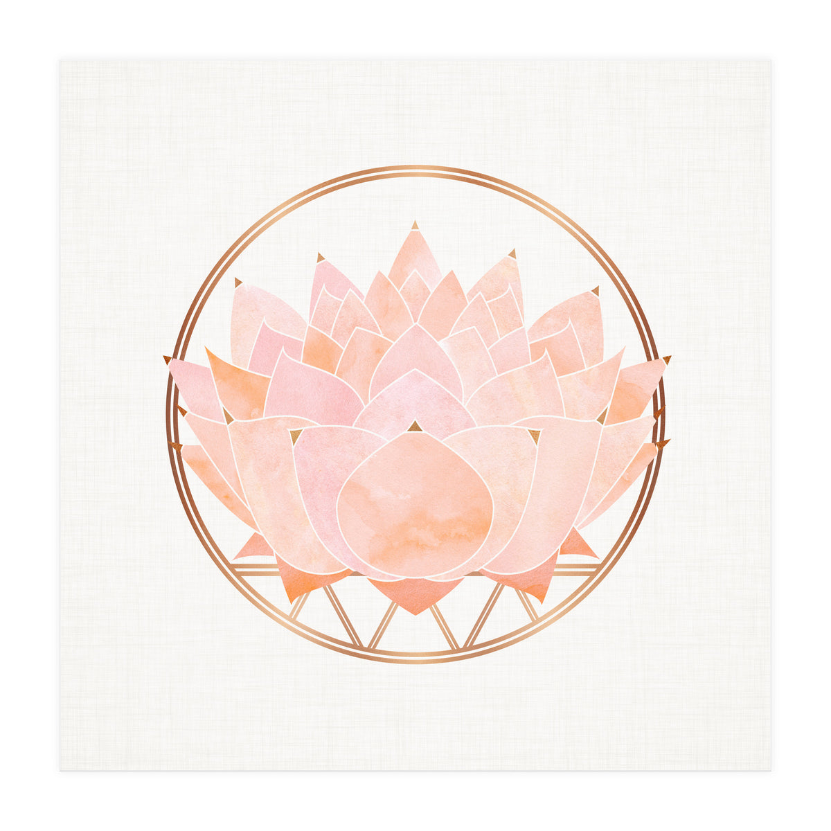 Peach Succulent  Blossom (Print Only)