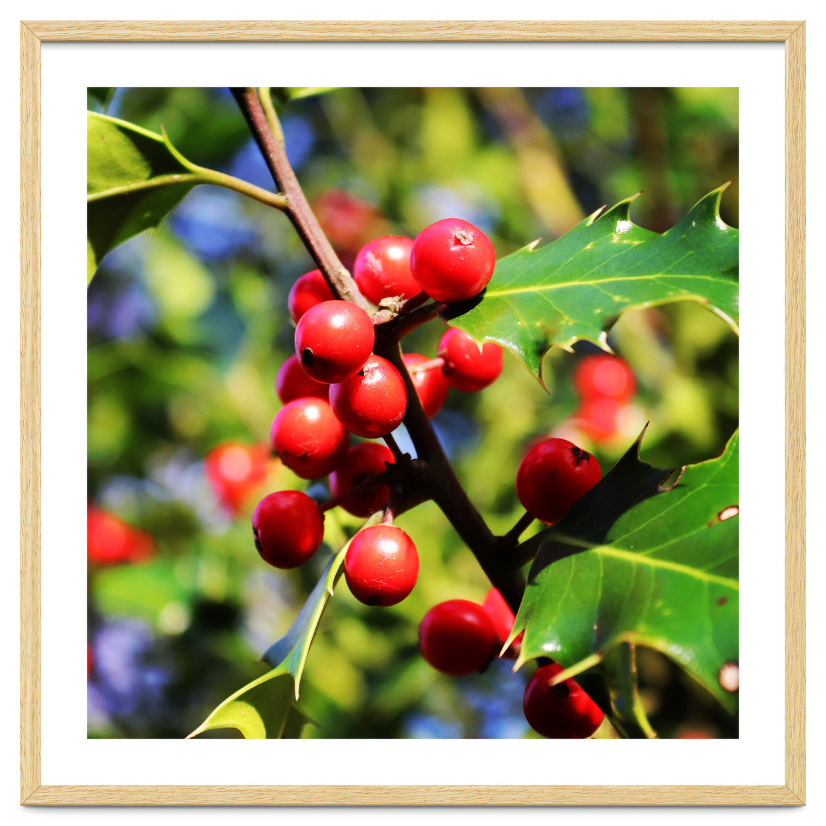 Fab454 Da 548 B 4252 8566 Cb9 Ccef07 Bda