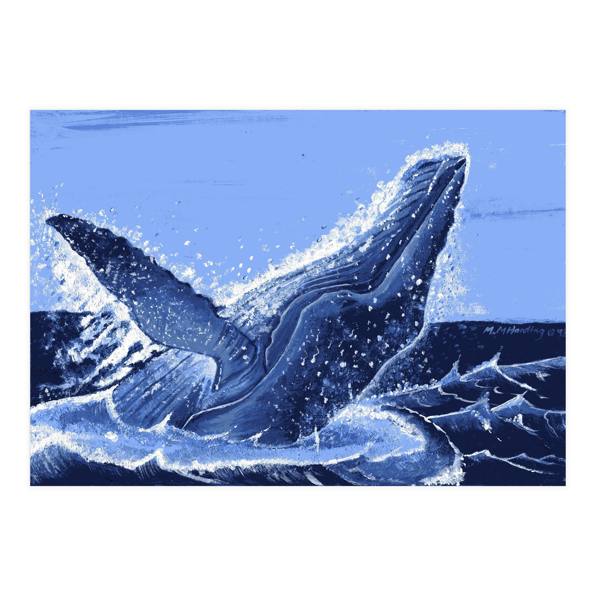 Humpback Whale Breaching  (Print Only)