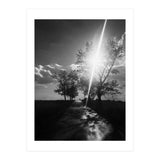 Walking on the shadows (Print Only) thumbnail