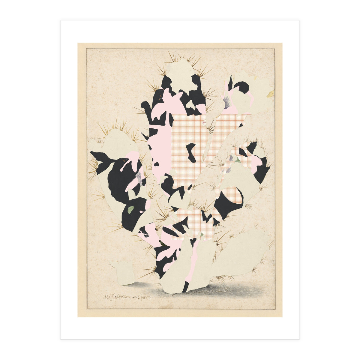 The First Plant · E (Print Only)