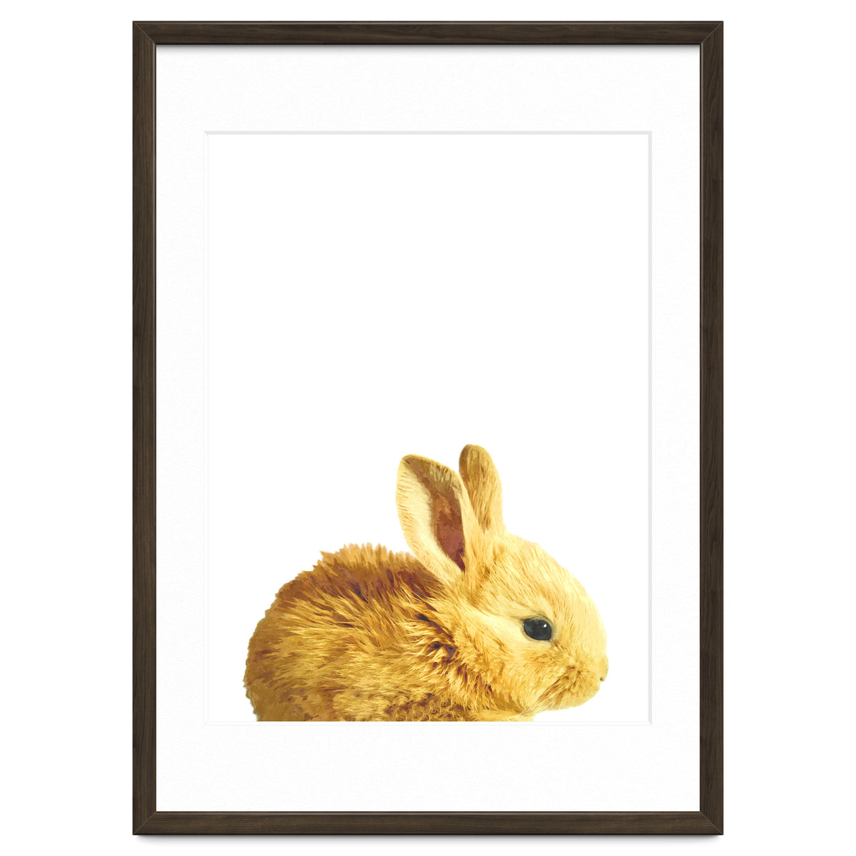 Bunny Portrait
