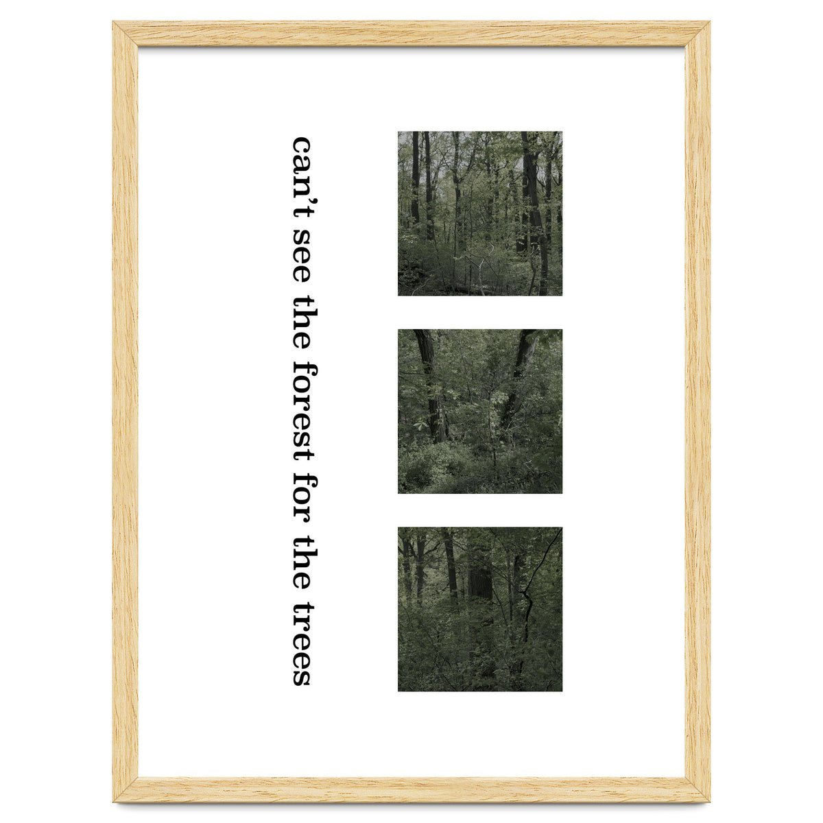 can’t see the forest for the trees