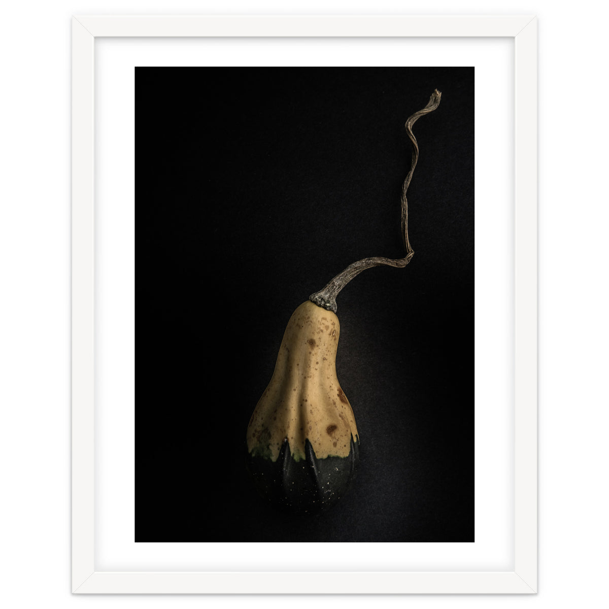 Gourds No 12 Color Version