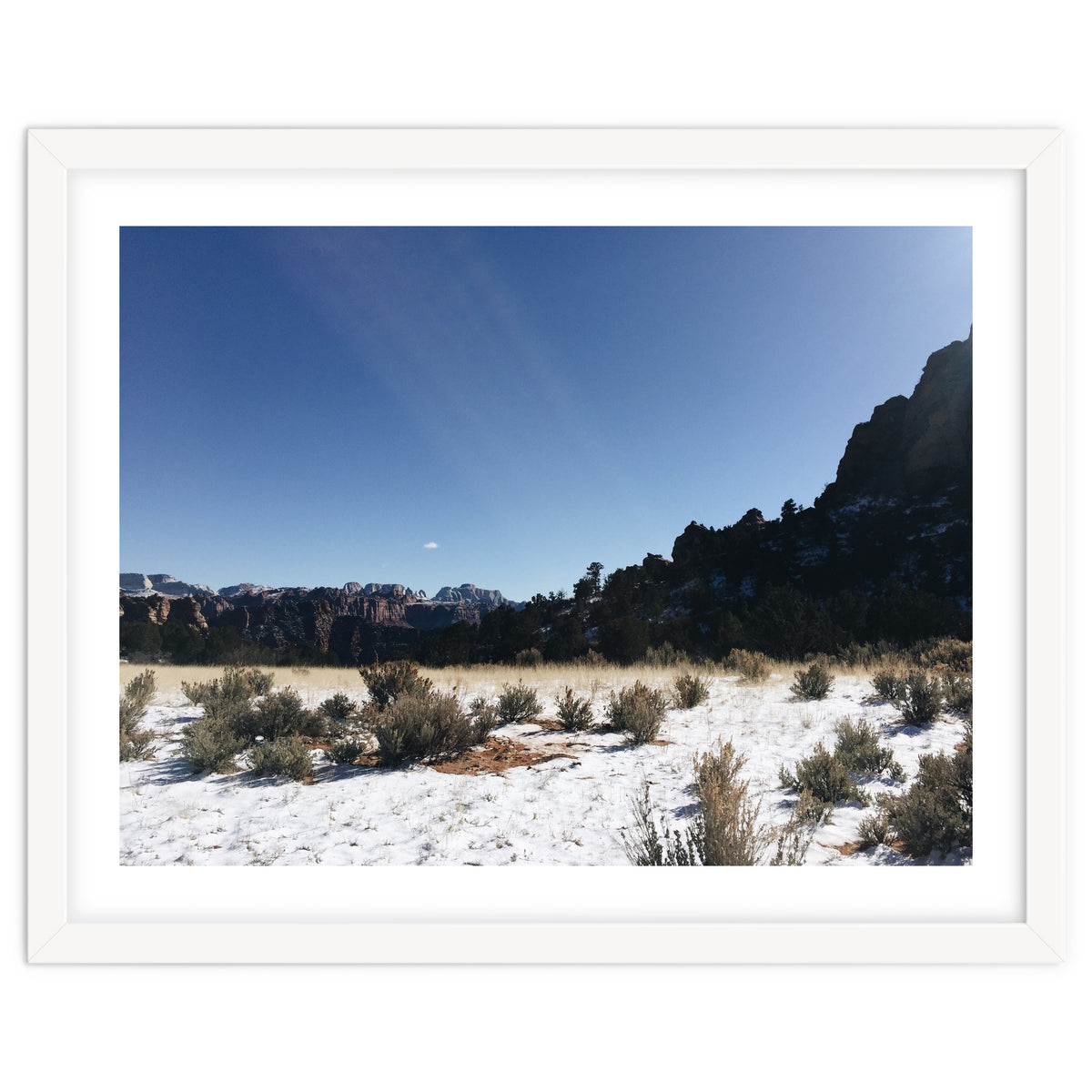 Zion National Park II