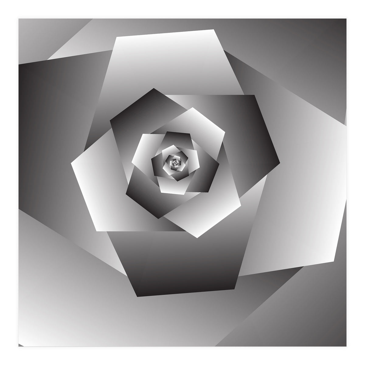 Monochrome Rose Spiral  (Print Only)