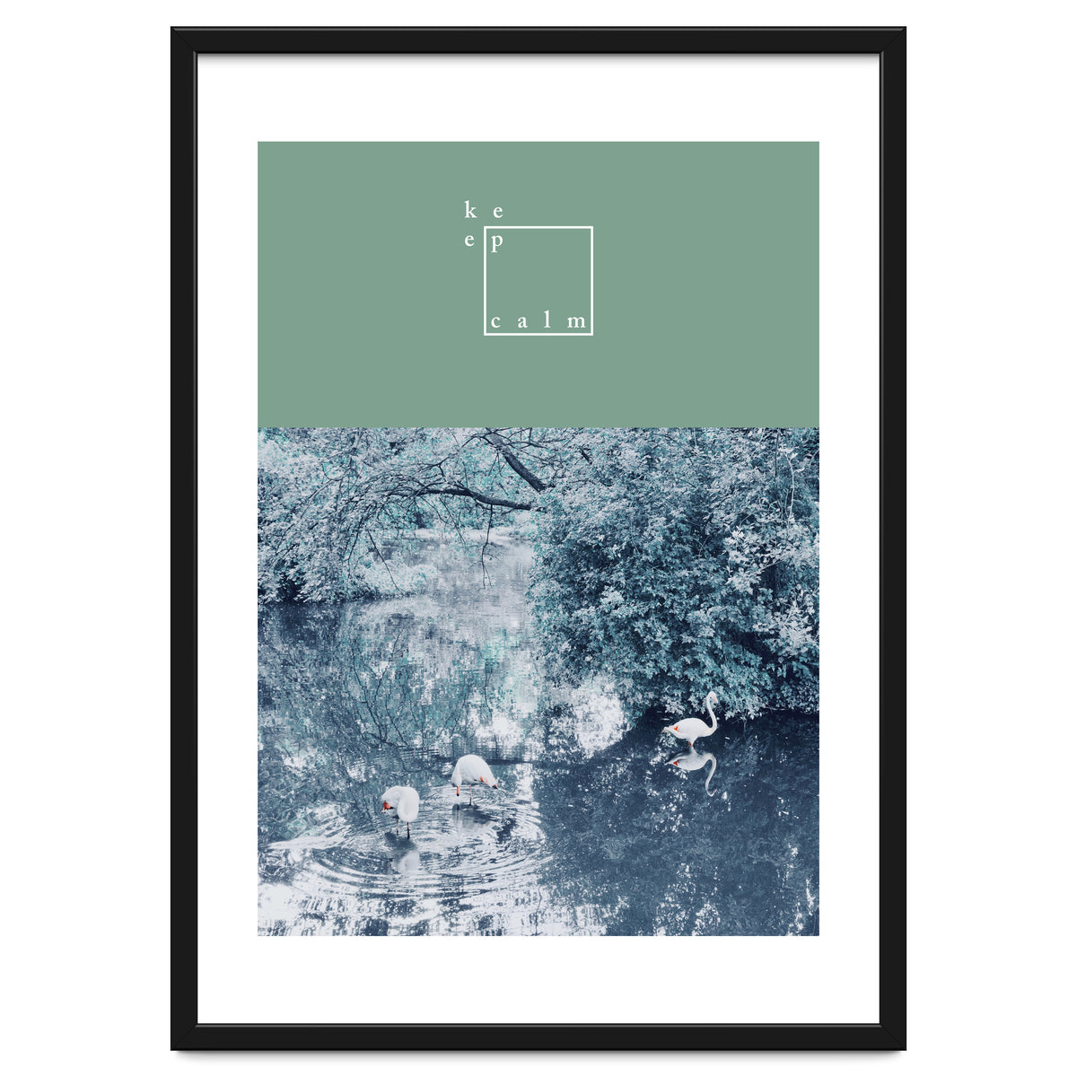 Flamingos - keep calm