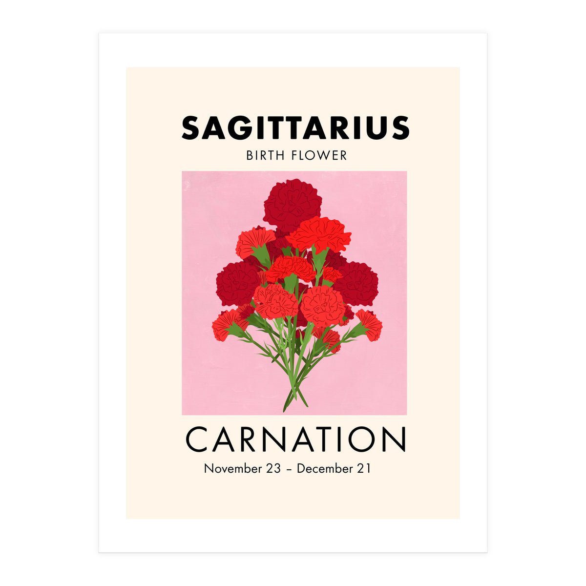 Sagittarius Birth Flower Carnation  (Print Only)