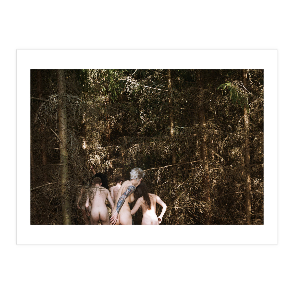 Born Free (Print Only)