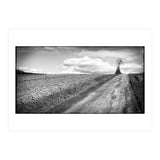 Lonely tree (Print Only) thumbnail
