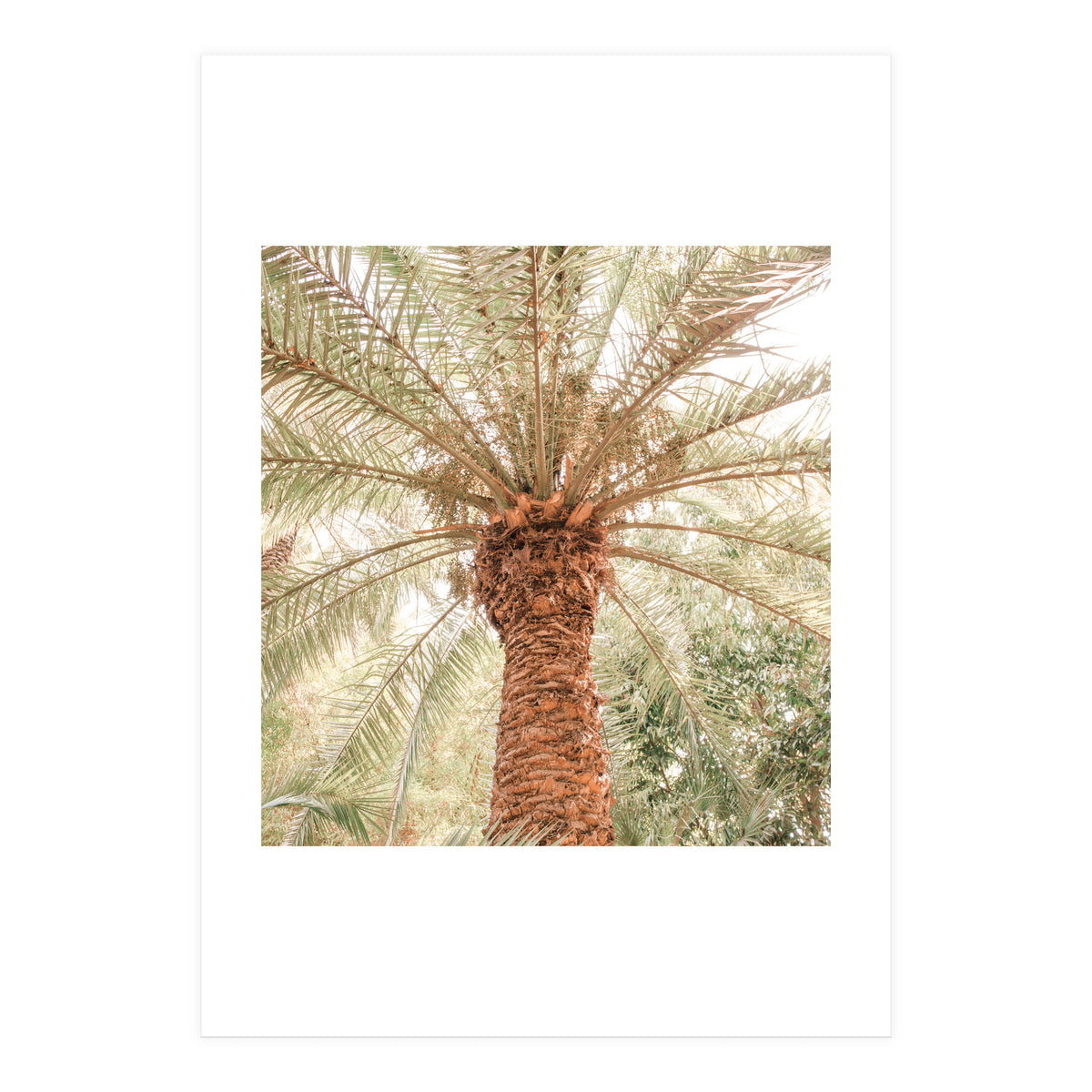 Tropical 2 (Print Only)