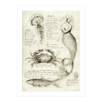 Sea Animals (Print Only)