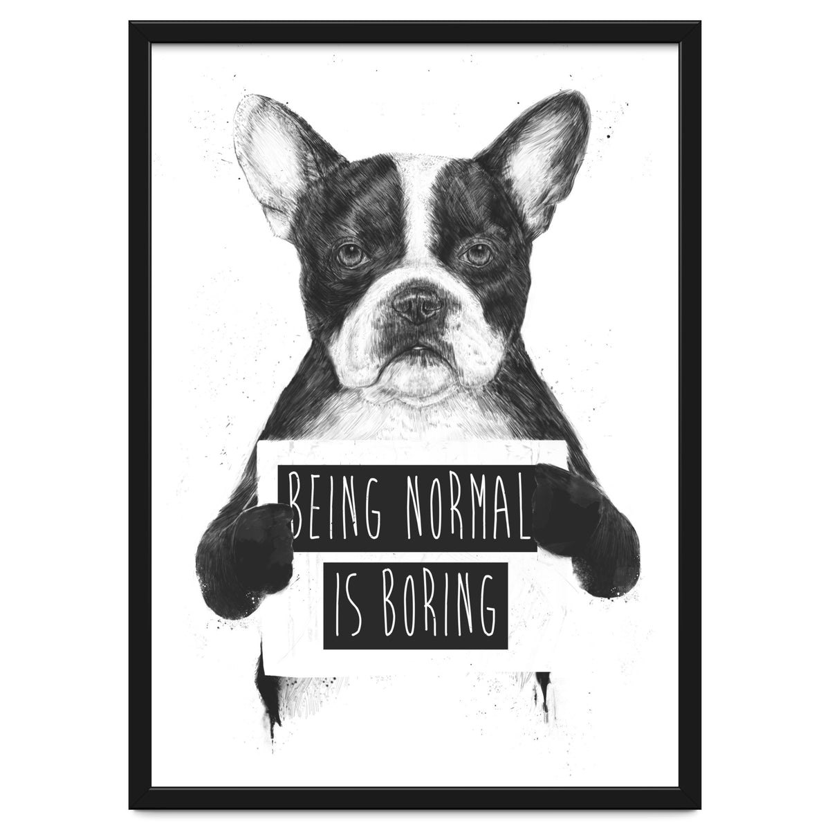 Being Normal Is Boring