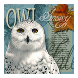 Snow Owl (Print Only) thumbnail