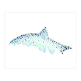 Barbel Fish (Print Only) thumbnail