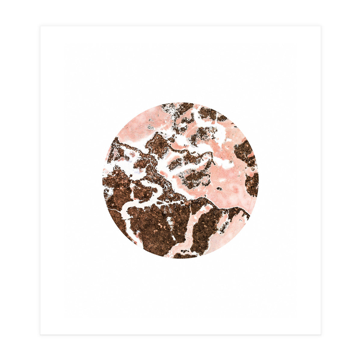 Blush And Bronze (Print Only)