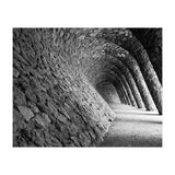 Parc Guell, Barcelona (Print Only) thumbnail