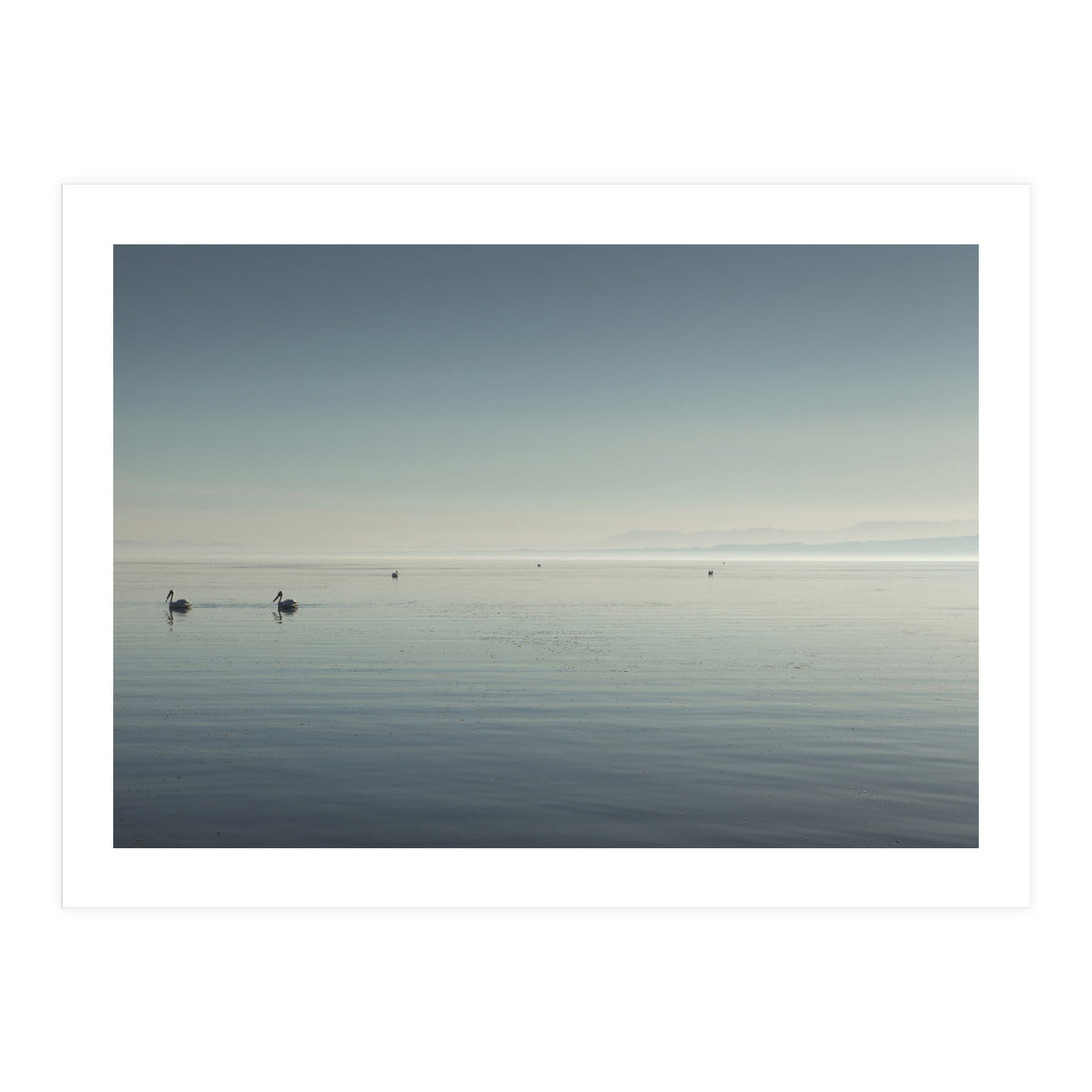 The Salton Sea (Print Only)