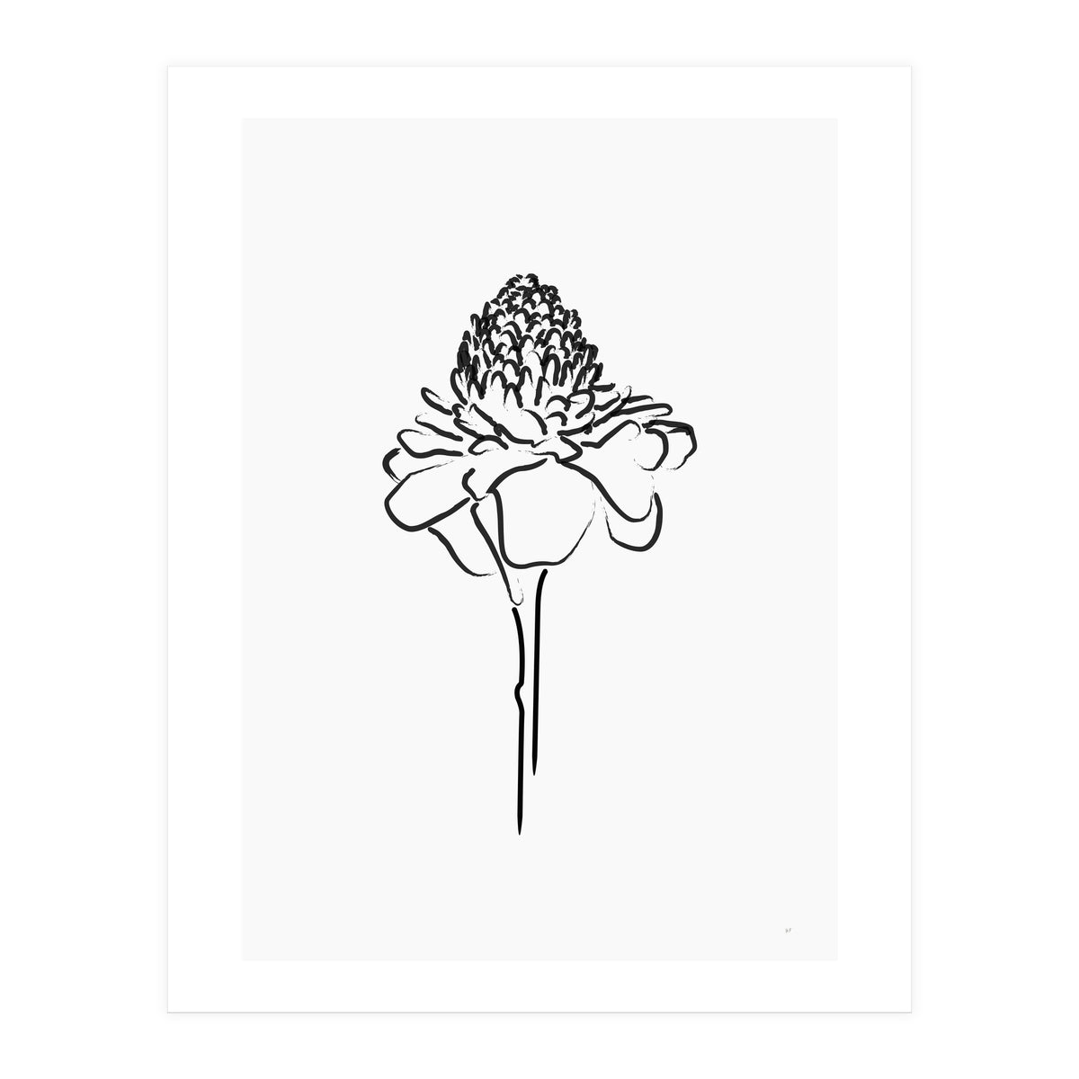 Black Flower (Print Only)