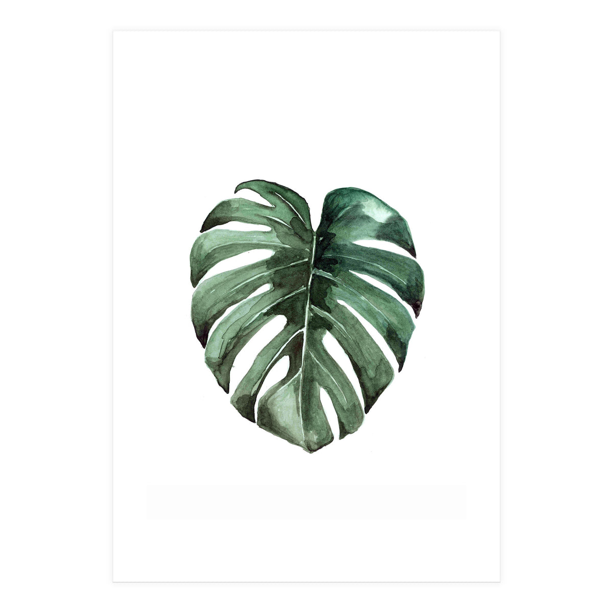 Botanical Illustration Monstera Deliciosa (Print Only)