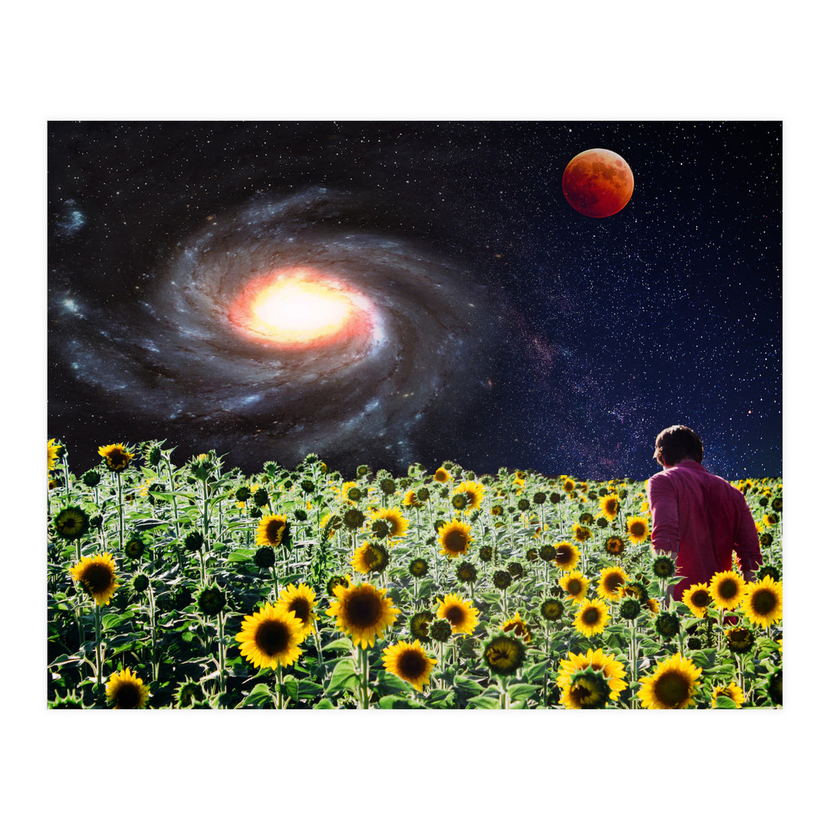 Likakiku  (Print Only)