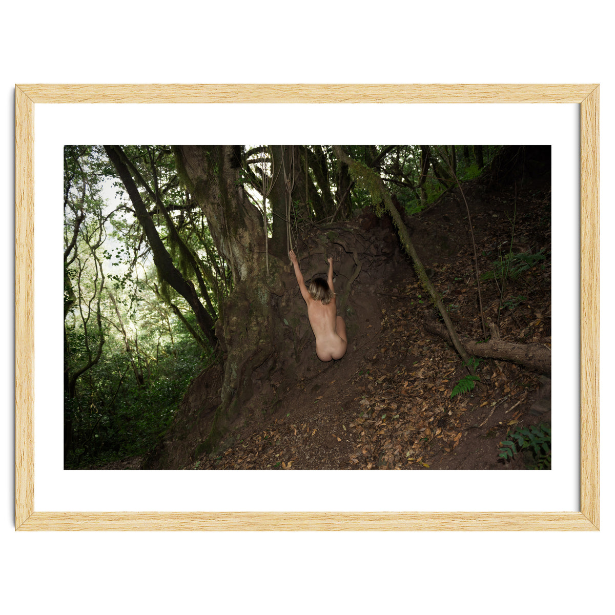 The kids Are all Wild