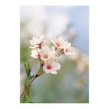 FLOWER (Print Only) thumbnail
