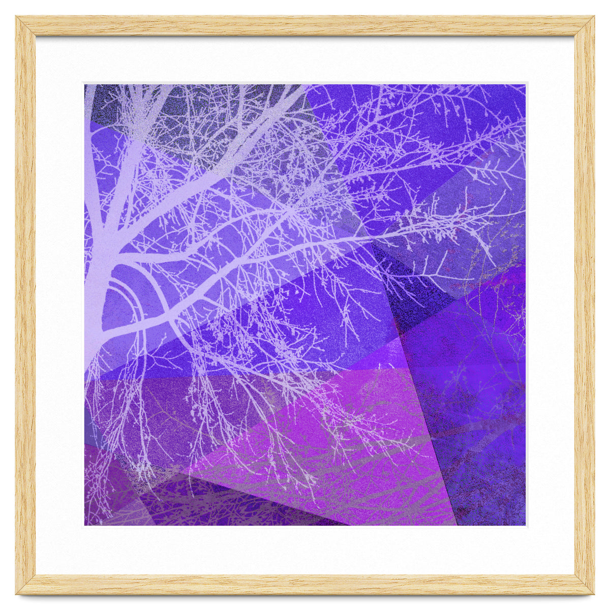 P19-D2 Trees and Triangles