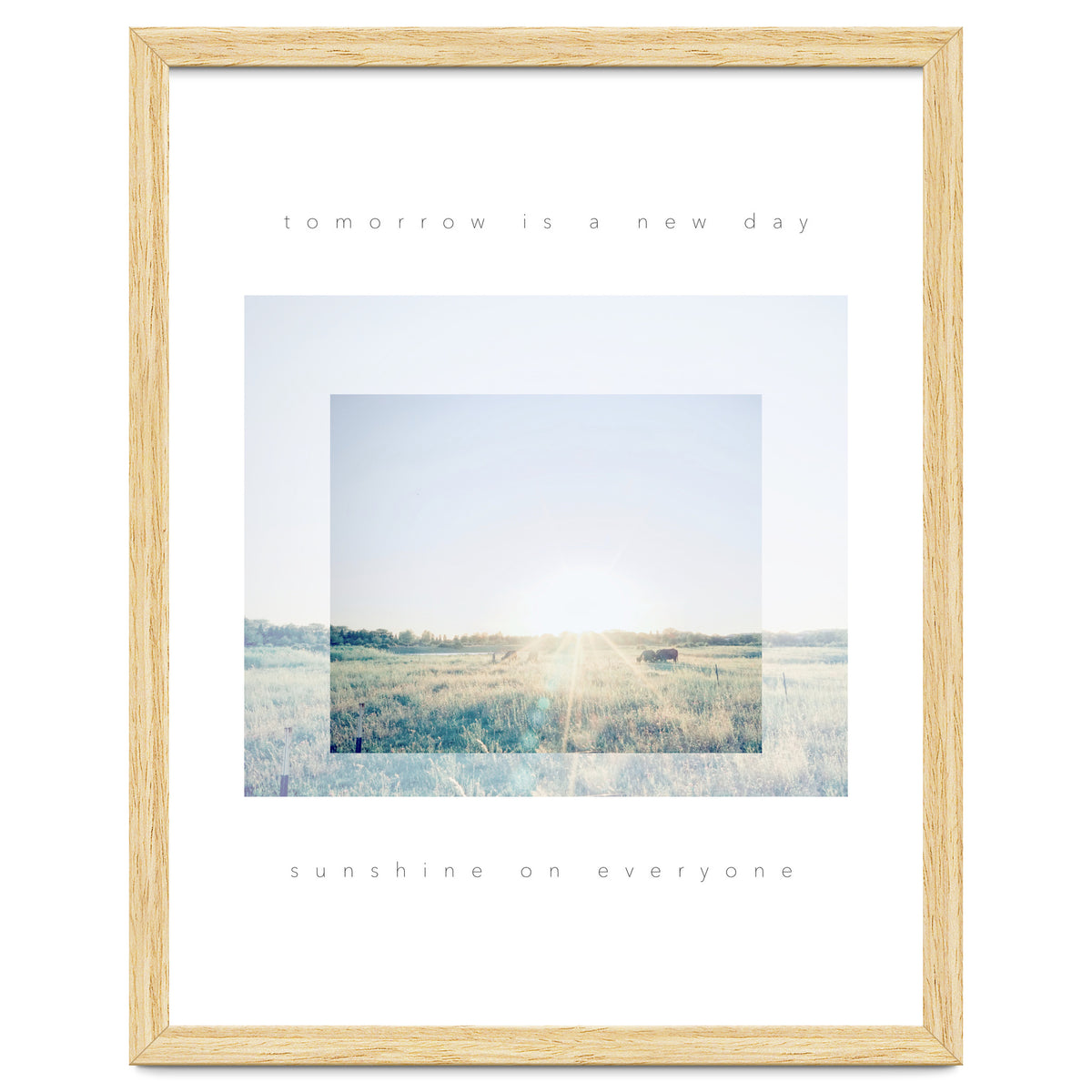 sunshine on everyone