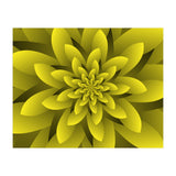 Spring Floral (Print Only) thumbnail