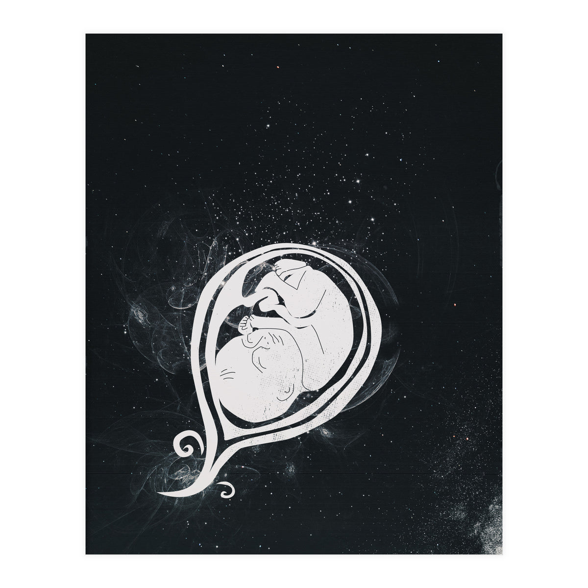 Baby Cosmos (Print Only)