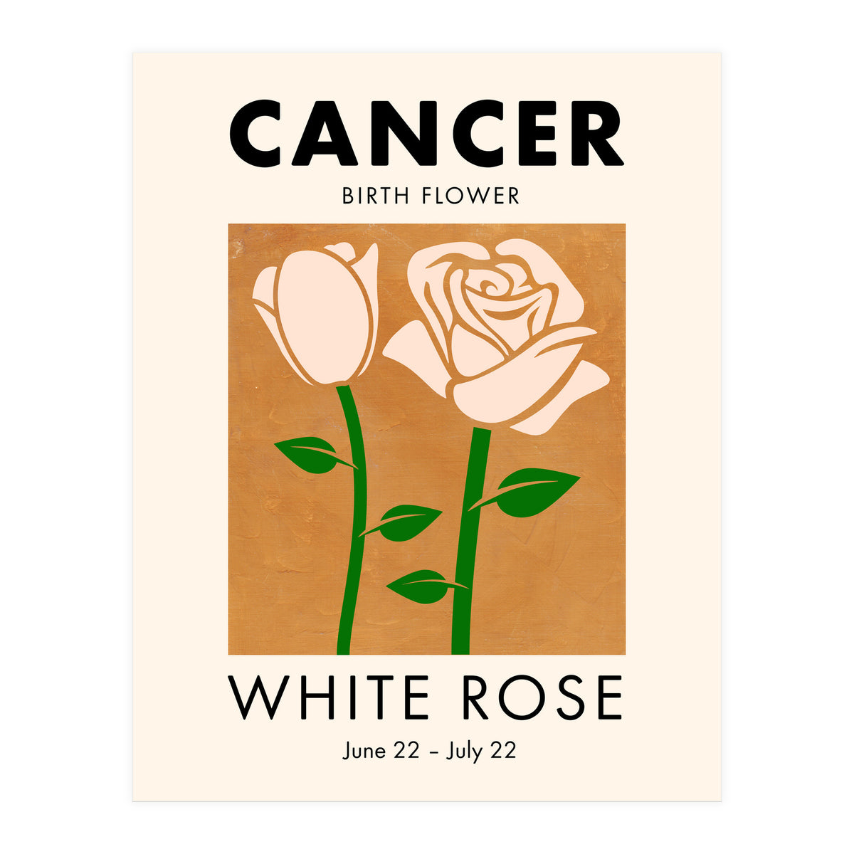 Cancer Birth Flower White Rose