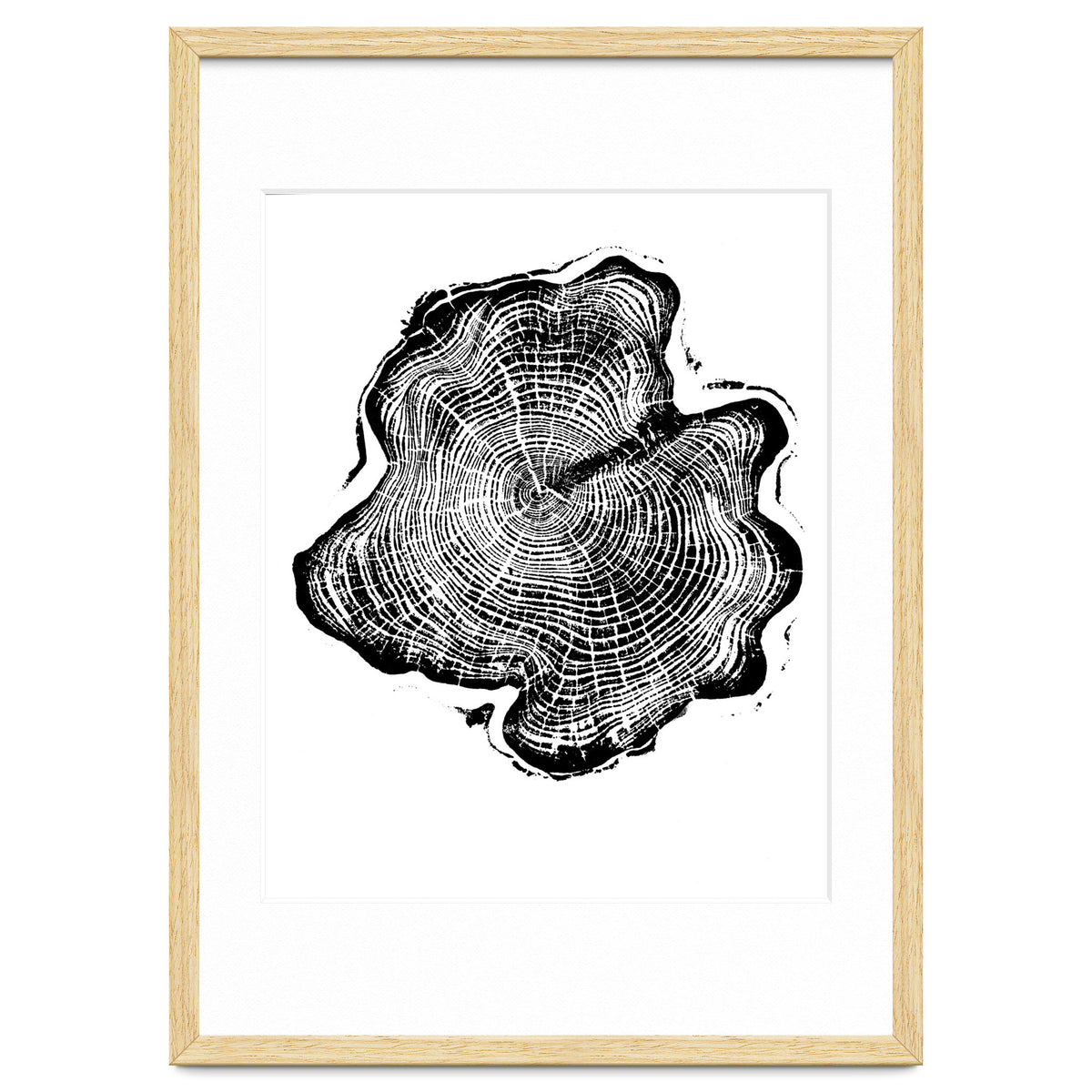 Alaskan Cypress, Tree Ring Art Print, Woodblock