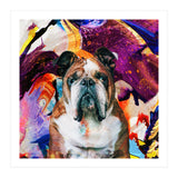Zycko Color Dog 3 (Print Only) thumbnail