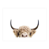Peeking Cow (Print Only) thumbnail