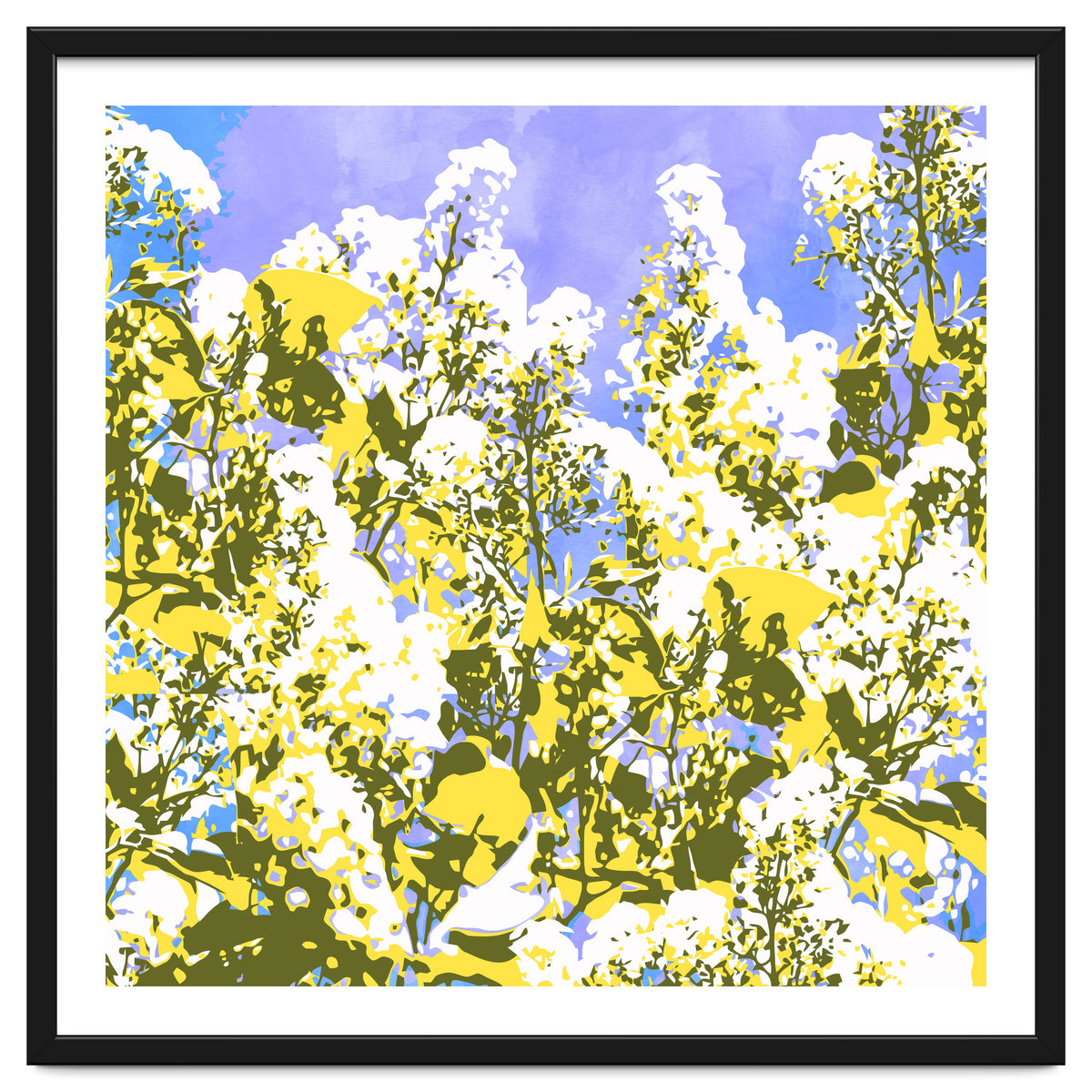 The Contrast Of Desire