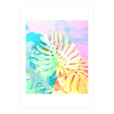 Umami (Print Only) thumbnail