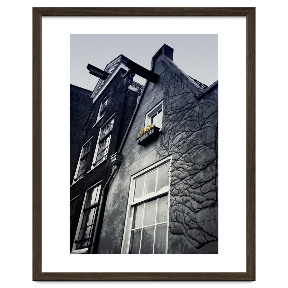 Amsterdam. House With Yellow Flowers.