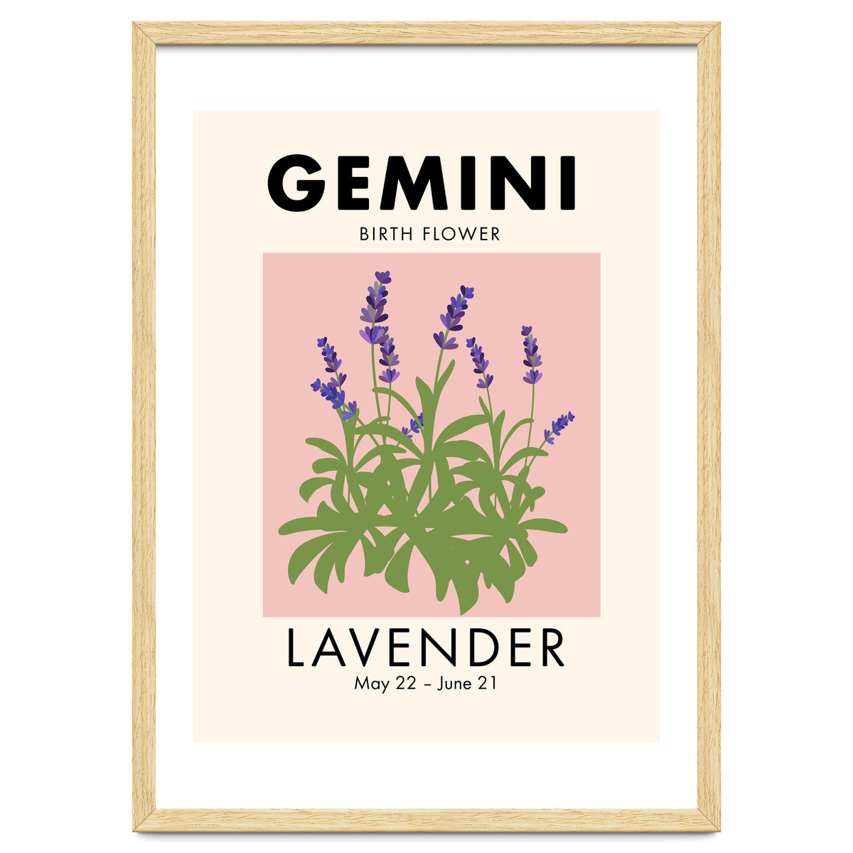 Gemini Birth Flower Lavender