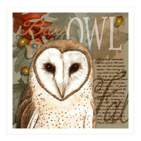 Barn Owl (Print Only)